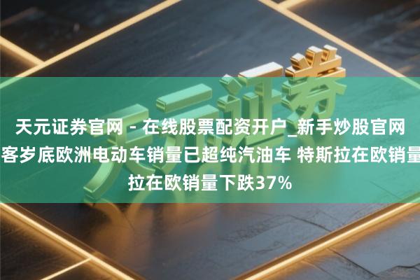 天元证券官网 - 在线股票配资开户_新手炒股官网杠杆注册 客岁底欧洲电动车销量已超纯汽油车 特斯拉在欧销量下跌37%