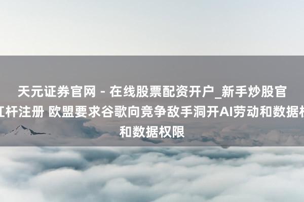 天元证券官网 - 在线股票配资开户_新手炒股官网杠杆注册 欧盟要求谷歌向竞争敌手洞开AI劳动和数据权限