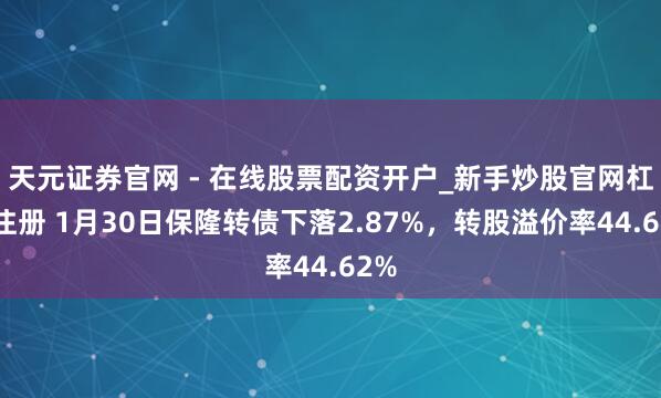 天元证券官网 - 在线股票配资开户_新手炒股官网杠杆注册 1月30日保隆转债下落2.87%，转股溢价率44.62%